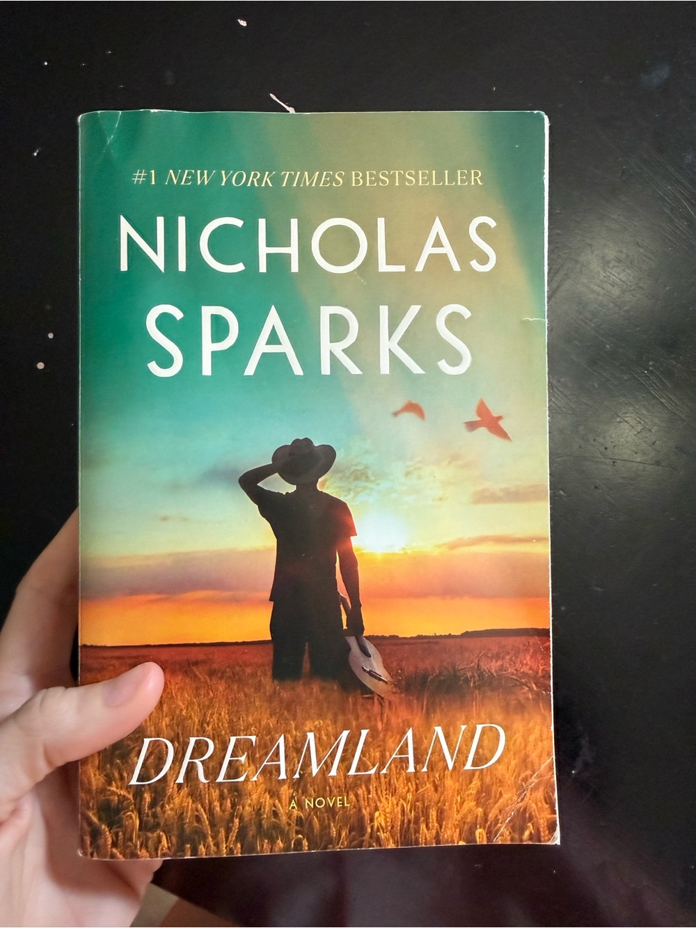 Dreamland Nicholas sparks paperback